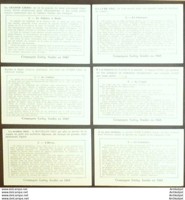 Chromo Liebig Sang 1434 Congo plantes (1941)