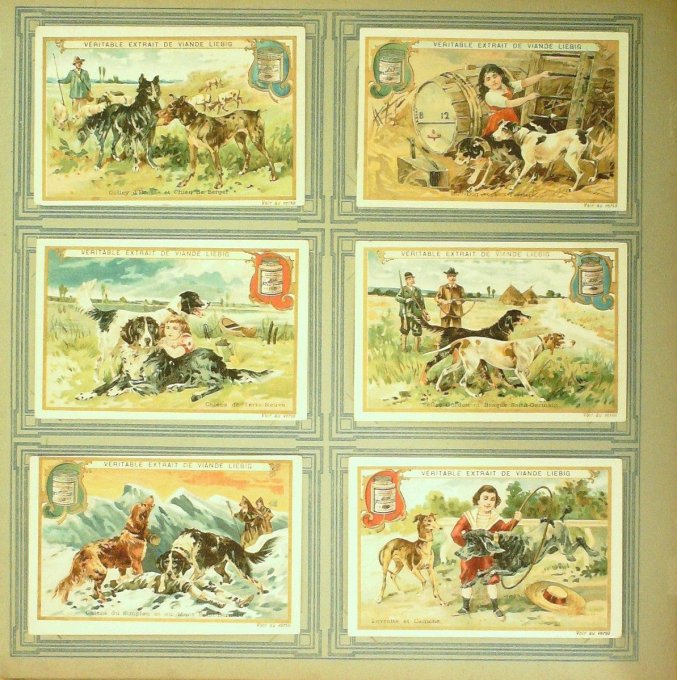 Races De Chiens 1900