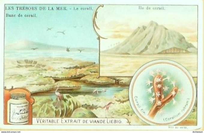 Chromo Liebig Sang  716 Les tresors de la mer II 2 (1902)