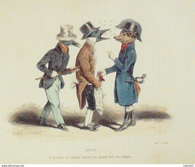Grandville "Les Métamorphoses du jour" XLVIIB Renard Oiseau 1847