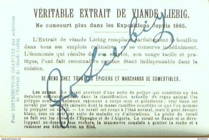 Chromo Liebig Sang  716 Les tresors de la mer II 2 (1902)