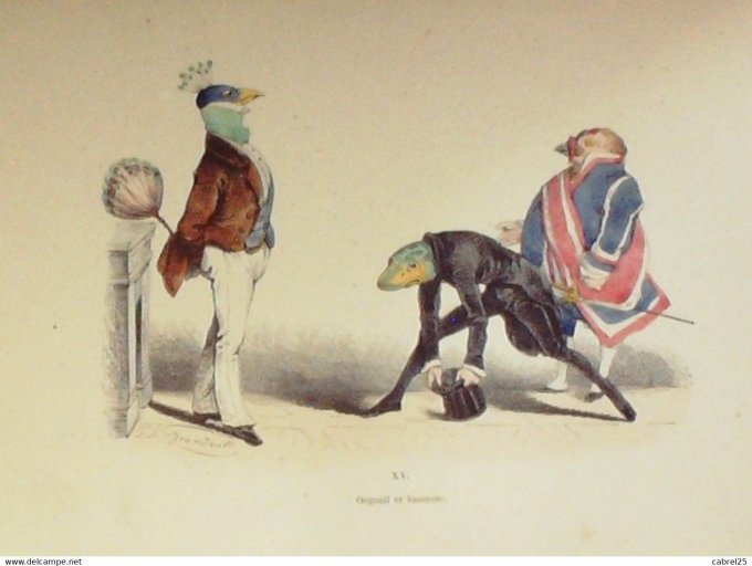 Grandville "Les Métamorphoses du jour" XVA Paon Tortue Poule 1847