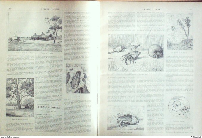 Le Monde illustré 1893 n°1900 Soudan Siguiri Niger Montbéliard (25) Grèce Corinthe