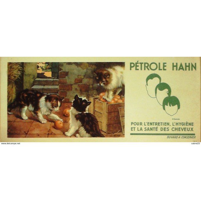 Buvard PETROLE HAHN Entretien