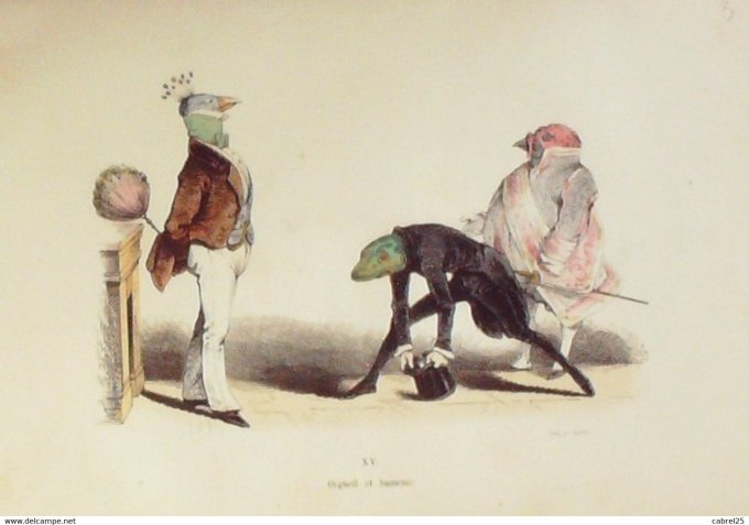 Grandville "Les Métamorphoses du jour" XVB Paon Tortue Poule 1847