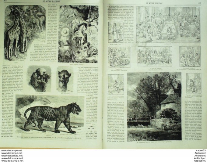 Le Monde illustré 1868 n°611 Espagne Cadix San Juan De Dios Angleterre Islington Race Lang Horn