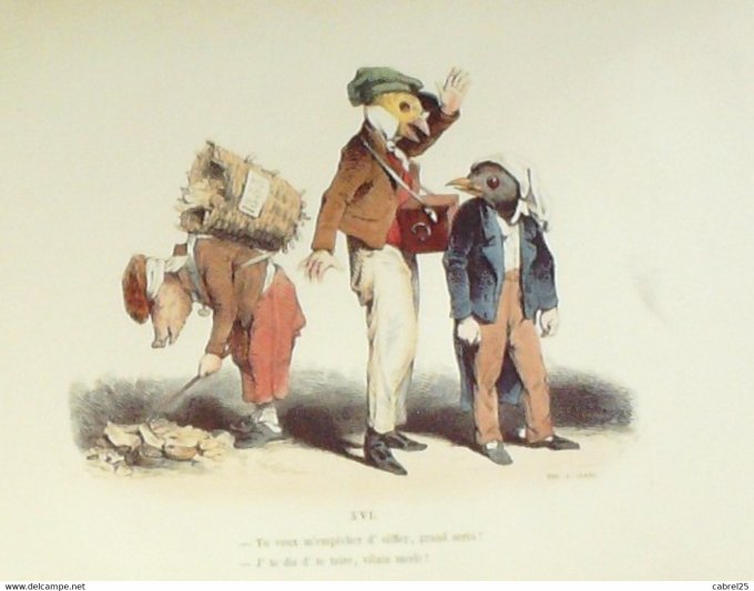 Grandville "Les Métamorphoses du jour" XVI Cochon Oiseau Aigle 1847