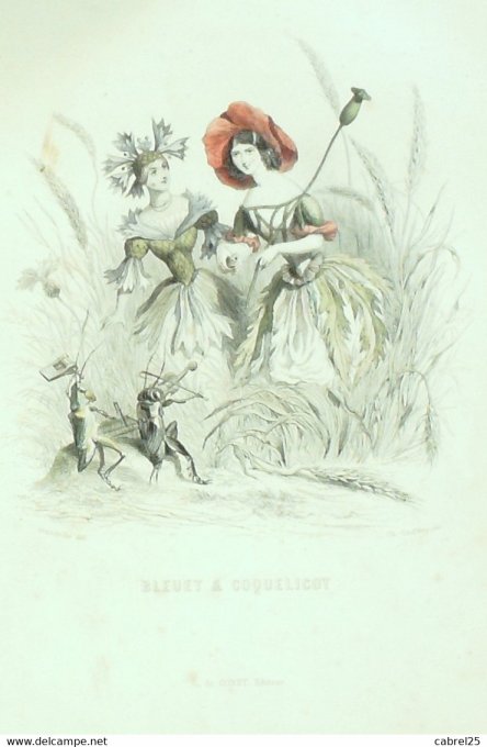 Grandville "Les Fleurs Animées" Myrte 1847