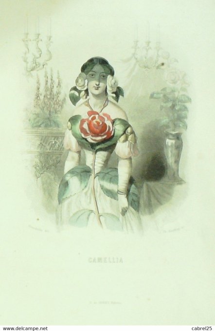 Grandville "Les Fleurs Animées" Narcisse 1847