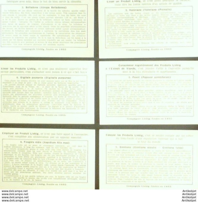 Chromo Liebig Sang 1451 Plantes medicinales (1943)