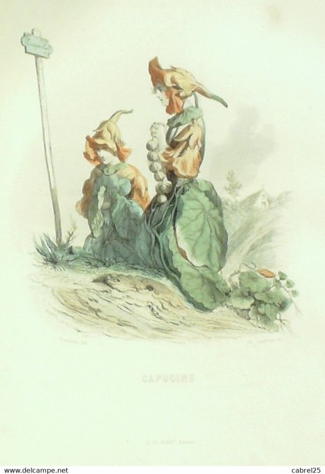 Grandville "Les Fleurs Animées" Nenuphar 1847