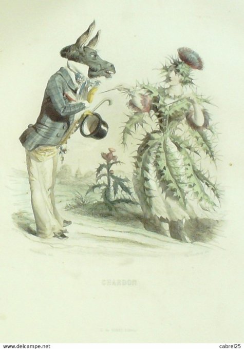 Grandville "Les Fleurs Animées" Oeillet 1847