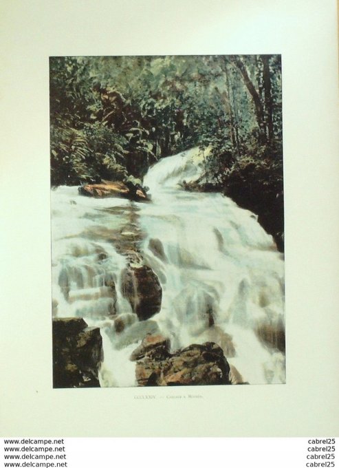 Polynésie MOOREA Cascade