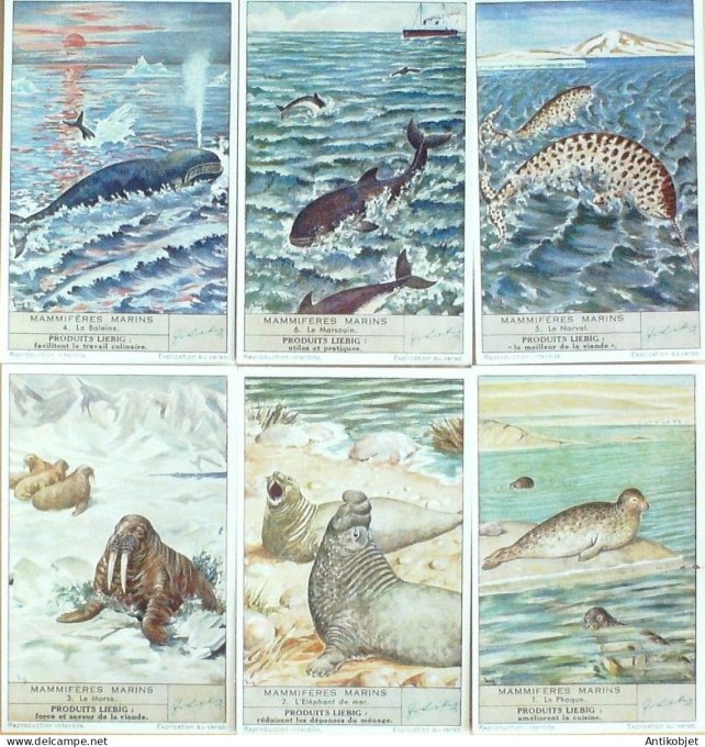 Chromo Liebig Sang 1430 Mammiferes marins (1941)