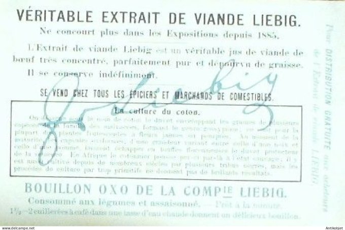 Chromo Liebig Sang  952 Culture du coton IV (1909)