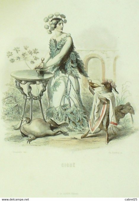 Grandville "Les Fleurs Animées" Pavot 1847