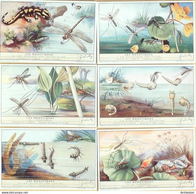 Chromo Liebig Sang 1447 Les moustiques (1942)