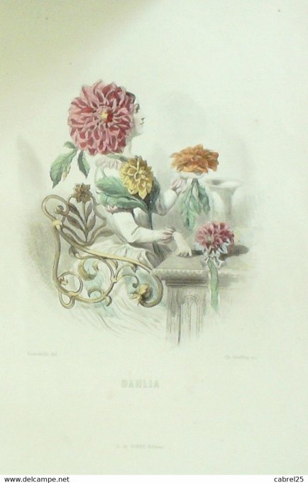 Grandville "Les Fleurs Animées" Pecher 1847