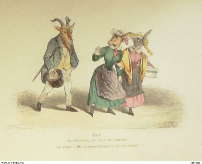 Grandville "Les Métamorphoses du jour" XXIV Bouc Chèvre Ane 1847