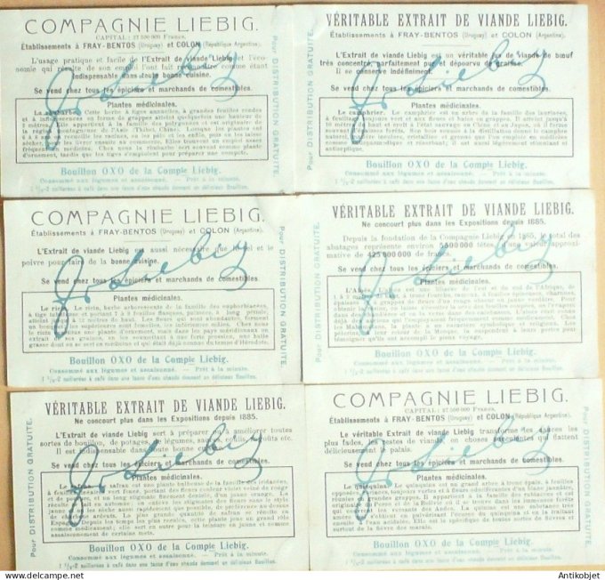 Chromo Liebig Sang  906 Plantes medecinales (1907)