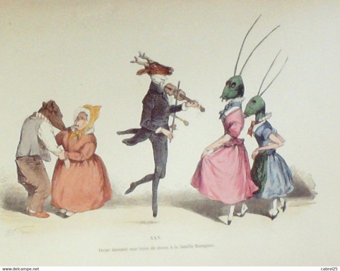 Grandville "Les Métamorphoses du jour" XXIV Ours Chevreuil Libellule 1847