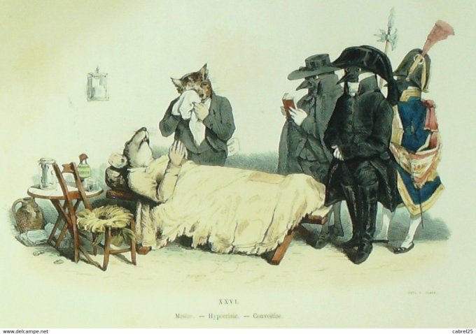 Grandville "Les Métamorphoses du jour" XXIV Ours Chevreuil Libellule 1847