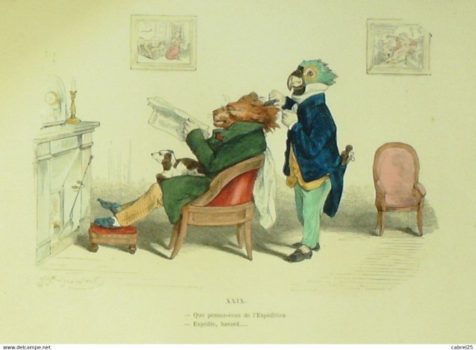 Grandville "Les Métamorphoses du jour" XXIX Lion Perroquet 1847