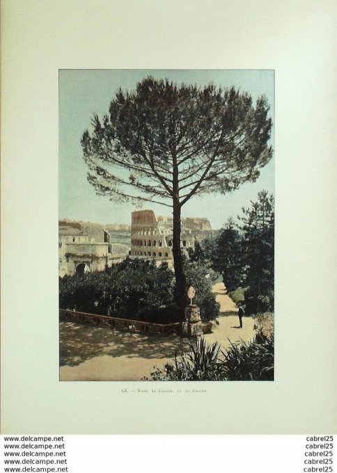 Italie ROME COLISEE vue du PALATIN