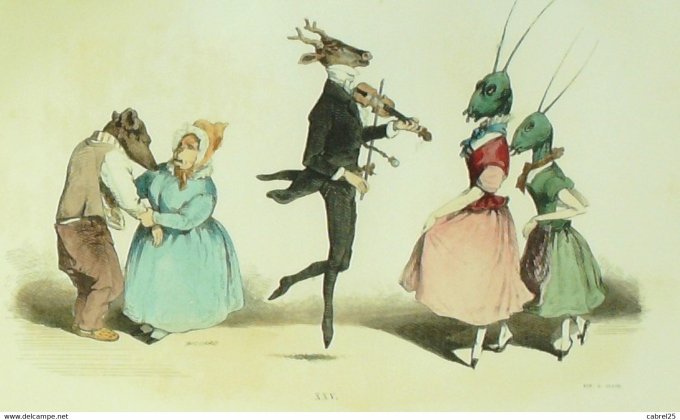 Grandville "Les Métamorphoses du jour" XXVB Ours Chevreuil Libellule 1847