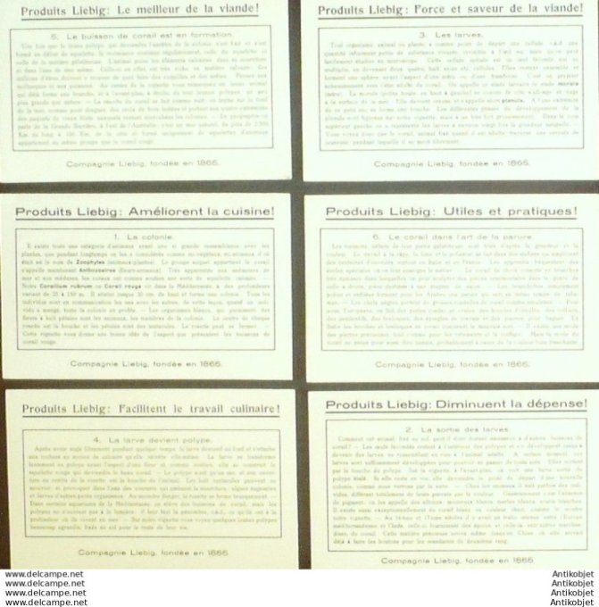 Chromo Liebig Sang 1411 Le corail (1939)