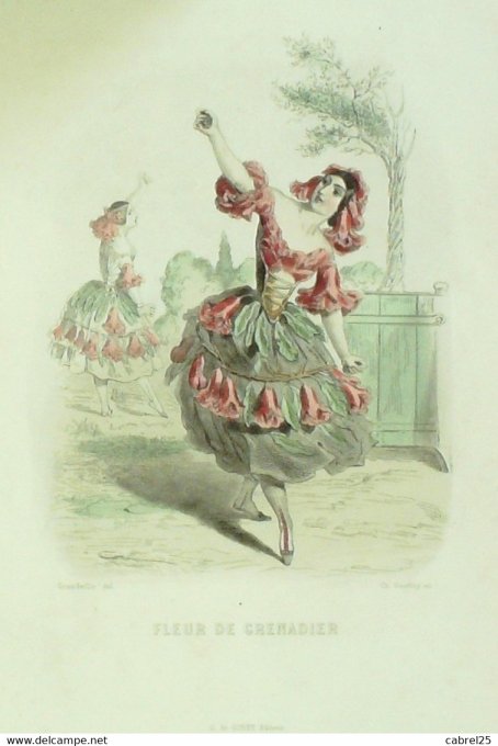 Grandville "Les Fleurs Animées" Planche B 1847