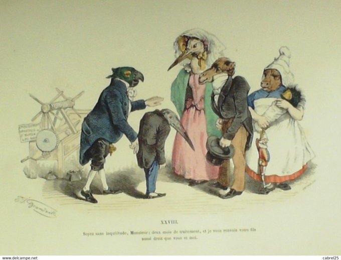 Grandville "Les Métamorphoses du jour" XXVIII Perroquet agneau Boeuf Autruche 1847