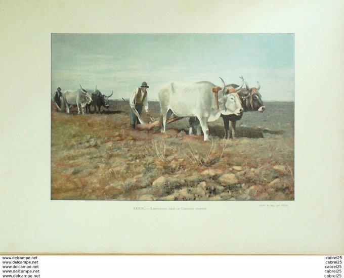 Italie ROME laboureurs en campagne