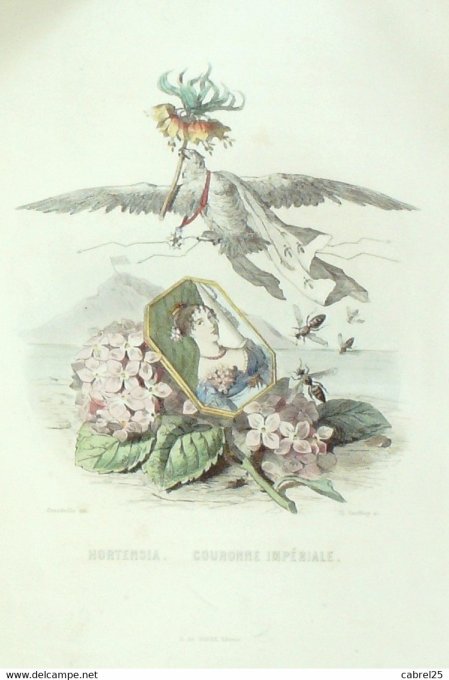 Grandville "Les Fleurs Animées" Primevere Perce Neige 1847