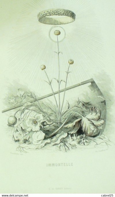 Grandville "Les Fleurs Animées" Retour Des Fleurs 1847