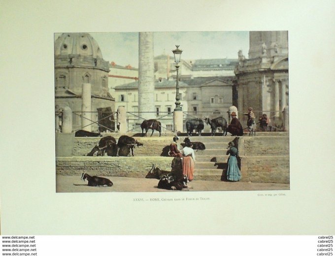 Italie ROME chèvres dans le FORUM de TRAJAN