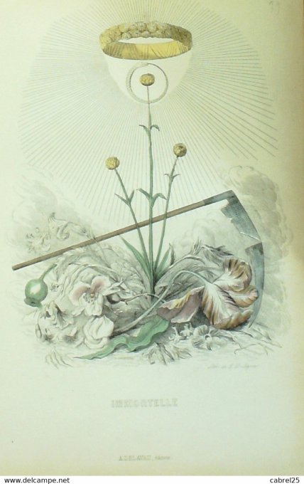 Grandville "Les Fleurs Animées" Rose 1847