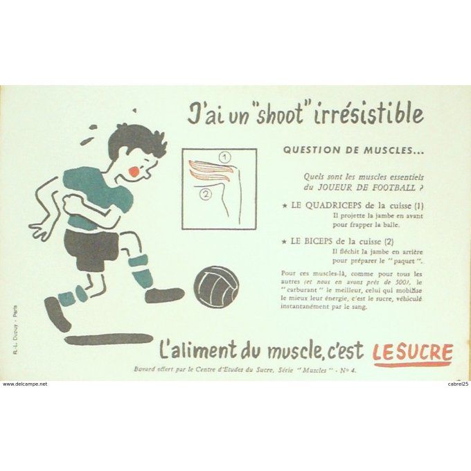 Buvard LE SUCRE FOOTBALL Muscle