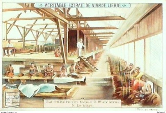Chromo Liebig Sang  715 Culture du tabac a Sumatra III (1902)