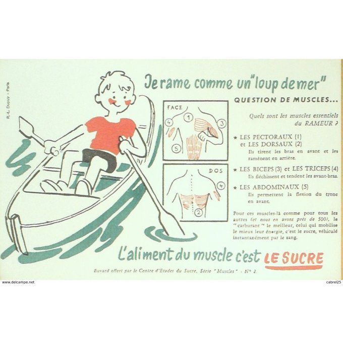 Buvard LE SUCRE AVIRON Muscle