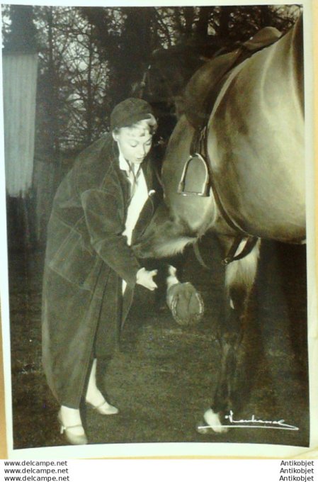 Demongeot Mylène (photo de presse Verhassel Bruxelles)