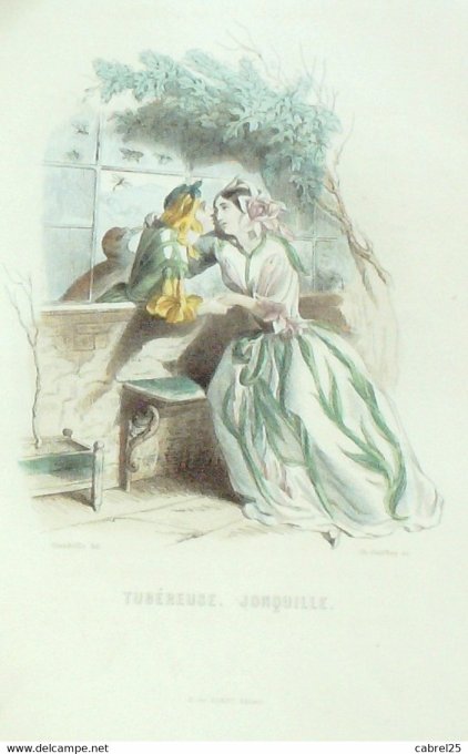 Grandville "Les Fleurs Animées" Soleil 1847