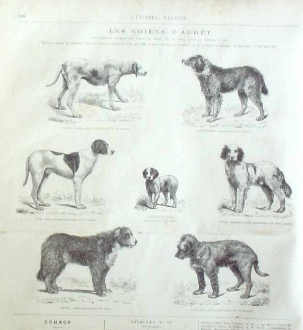 L'Univers illustré 1868 # 714 Autriche Bukowine Czernowitz Sèvres Suisse Simplon Elbe Porto-Ferra 