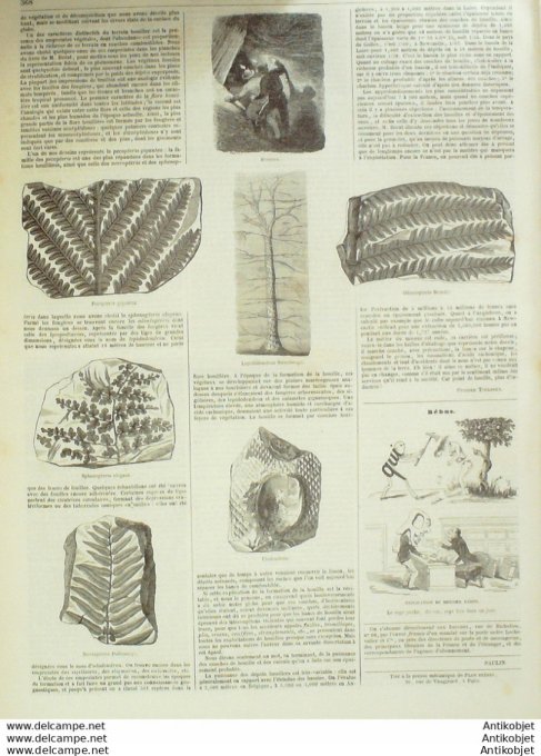 L'Illustration 1850 n°406 Angleterre BIRKENHEAD LONDRES Fumeurs d'OPIUM La HOUILLE