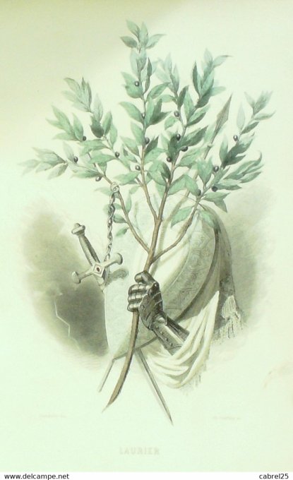 Grandville "Les Fleurs Animées" Tabac 1847