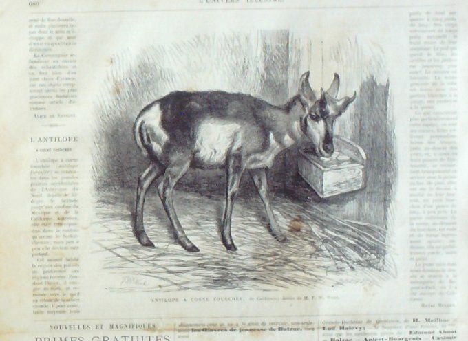 L'Univers illustré 1868 # 719 Algérie Constantine Australie Sidney Barcelone Madrid San Francisco