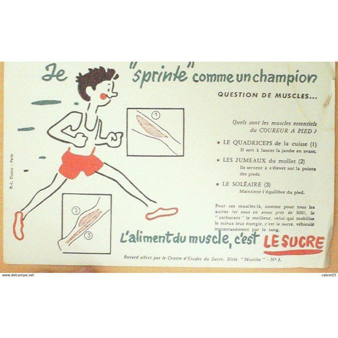 Buvard LE SUCRE ATHLETISME Muscle