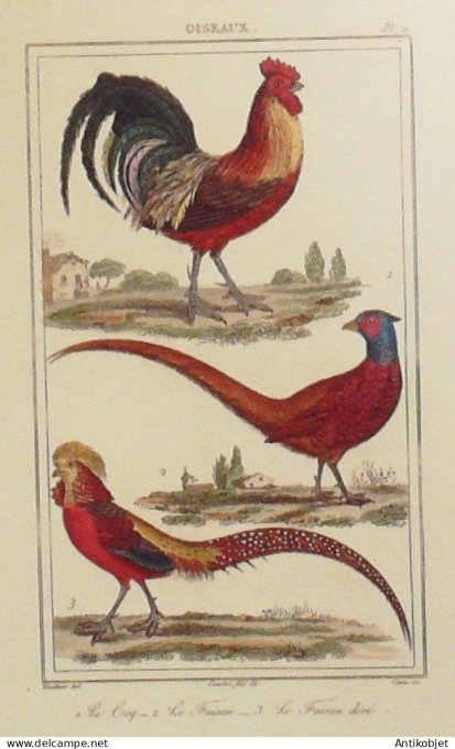 Coq Faisans 1833 Vauthier-Buffon