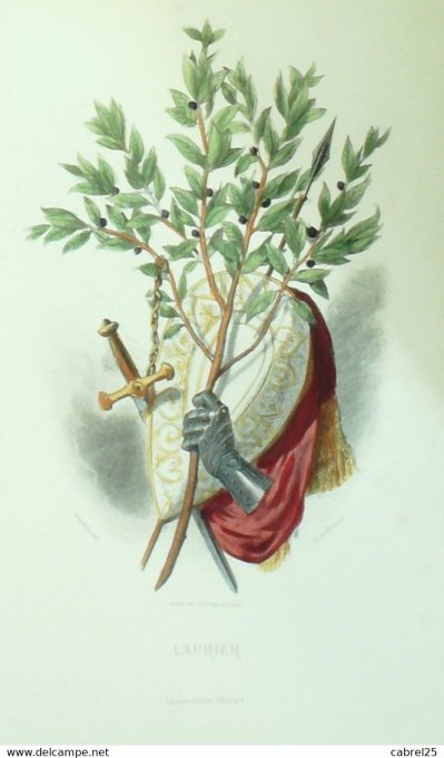 Grandville "Les Fleurs Animées" Tabac B 1847