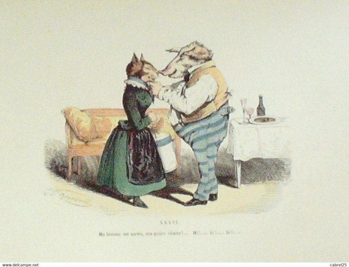 Gravure Grandville "Les Métamorphoses du jour" XXXVIA Chat Sanglier 1847